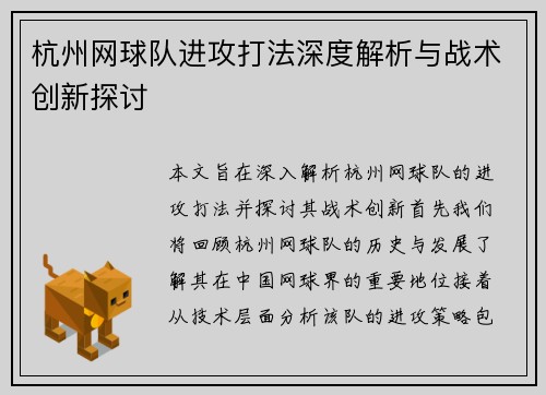 杭州网球队进攻打法深度解析与战术创新探讨